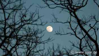 Horoskop heute: Dein Tageshoroskop am 29. Januar 2025