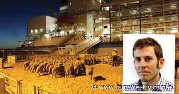 Live sheep ban transition advocate role filled: who got the job