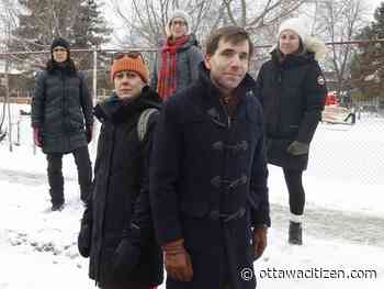 Turf war: A tussle over artificial grass in a Glebe schoolyard spills over