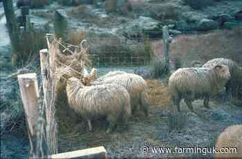 Pause to permits allowing farmers to dispose waste sheep dip to land