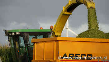 Oogst snijmais onderuit, ondanks extra hectares