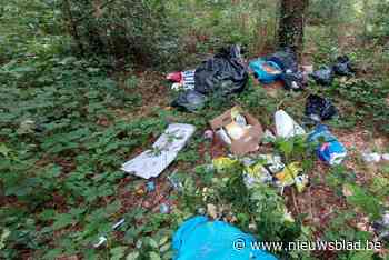 Camera moet helpen om sluikstorten tegen te gaan