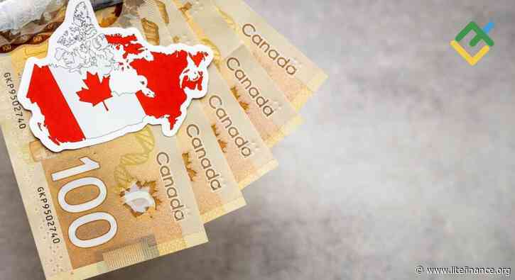 Loonie Faces Boom or Bust Scenario. Forecast as of 29.01.2025