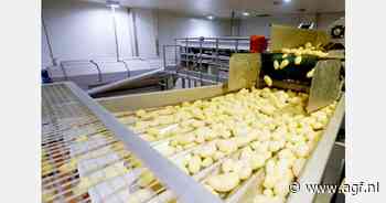 India van importeur nu grote exporteur van diepgevroren friet