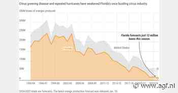 Record lage sinaasappeloogst in Florida