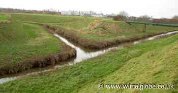 Plans for new wetland at Hoylake Carrs move forward