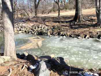 Morning Notes for January 29, 2025