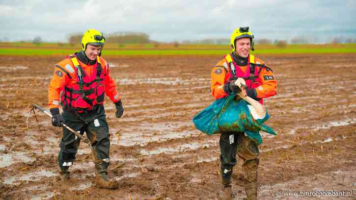 Gewonde zwanen zitten vast in de modder, brandweer schiet te hulp