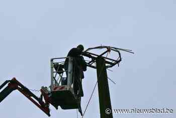 Ooievaarskoppel krijgt veilig nieuw nest
