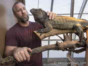 Animal rescue centres urge Port Moody to reconsider plan to ban mobile animal events