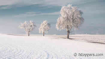 Mastering the Tone Curve: Lightroom Editing Tips