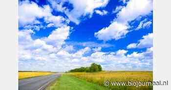 Hulp bij implementatie ecologisch bermbeheer