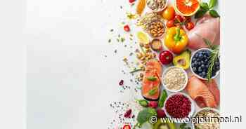 "De eiwittransitie is haalbaar met de juiste innovaties"