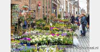 Het bosje bloemen keert terug in Zutphen