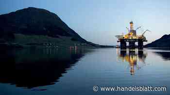 Geldanlage: 210 Milliarden Euro in einem Jahr: Norwegischer Staatsfonds erzielt Rekordgewinn