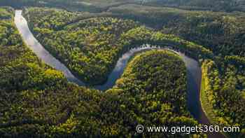 Microbes Uncovered in Amazon Peatlands Could Alter Global Carbon Dynamics