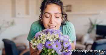 Florist's 65p hack leaves your whole house smelling like famous £500 perfume