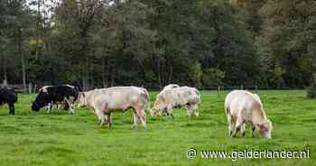 Stikstofcrisis noopt provincie tot heftig besluit: rond natuurgebieden mag straks (praktisch) niets meer