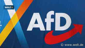 „Der Frust sitzt tief“ – Vier von zehn Firmen haben nichts gegen Regierung mit AfD oder BSW