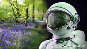 Astronauts use VR to overcome microgravity's negative effects: Life inside the ISS