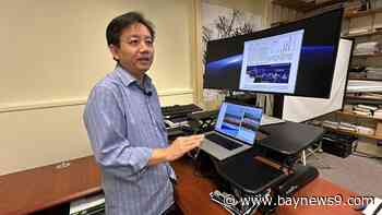 USF researchers say 2025 could be a major year for seaweed in the Atlantic