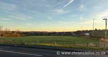 County Durham residents fear housing plans will 'irrevocably alter character' of village