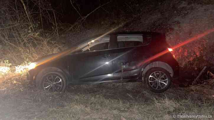 Chilliwack RCMP responds to overnight vehicle incident near Little Mountain: witness