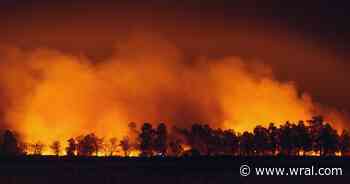 Officials warn North Carolinians to prepare for wildfires, more than 75% of state in a drought