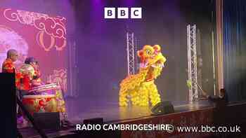 The Year of the Snake