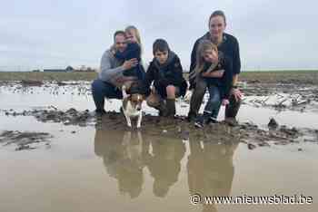 Boer Wouter krijgt niets terug uit rampenfonds na historische wateroverlast in Westhoek: “Ze gaven ons valse hoop”