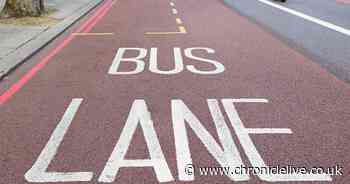More than a third of drivers have accidentally driven in bus lanes, survey suggests