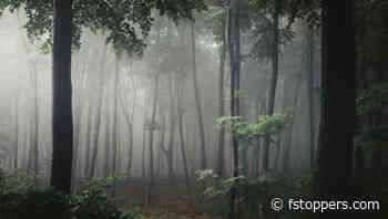 How Light and Shadow Transform Your Landscape Photography