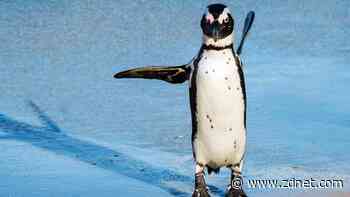 With Wine 10 update, run your Windows app on Linux better than ever