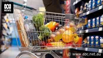 Why is inflation falling? The answer lies in the cost of essentials