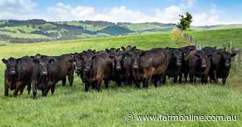 Auction drama in South Gippsland as farmland smashes price records