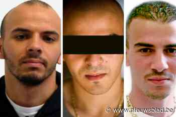 Hoe de clan Sekkaki uitgroeide tot de meest criminele familie van ons land: “Diefstal, bankroven, ontsnappingen, en nu internationale drugshandel”