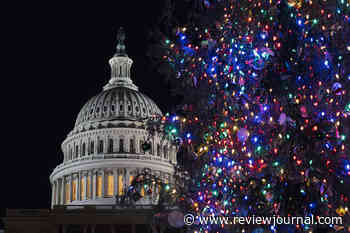 For 1st time, Nevada will harvest US Capitol Christmas tree