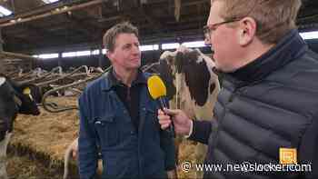 Boeren wantrouwig over stikstofprobleem: 'Afwachten waar het schip strandt'