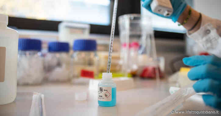 Scoperti tre nuovi trattamenti sicuri ed efficaci per la tubercolosi resistente alla rifampicina