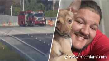 Woman charged in New Year's crash on I-95 that killed Road Ranger pleads not guilty