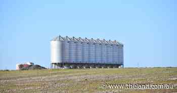 Farmers still waiting for the grain price rally | Grain Wrap