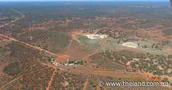 Tasman and Corinya stations on the market for $13 million walk in, walk out