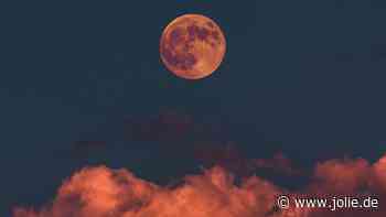 Horoskop heute: Dein Tageshoroskop am 30. Januar 2025