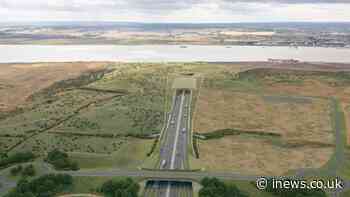 Work on tunnel to ease M25 gridlock could begin in 2025 after 15 years in limbo