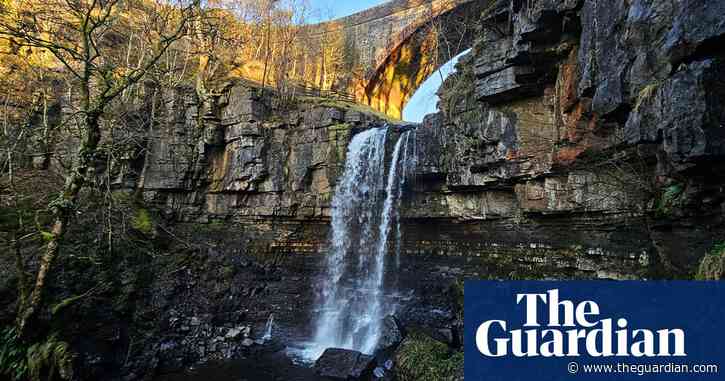 Country diary: A shivering walk with a dramatic climax | Susie White
