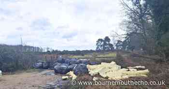 Insultation dumped in New Forest as fly tipping appeal issued