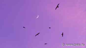 Wochenendhoroskop: So stehen deine Sterne am Wochenende vom 01. bis 02. Februa