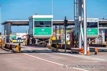 Government's food import controls 'inadequate' as disease risk grows