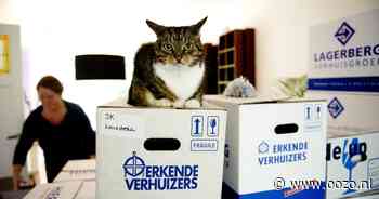 Aantal inwoners Landsmeer afgelopen jaar gegroeid, gemeente populair bij huizenzoekers