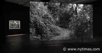 In the Footsteps of the Enslaved